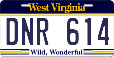 WV license plate DNR614
