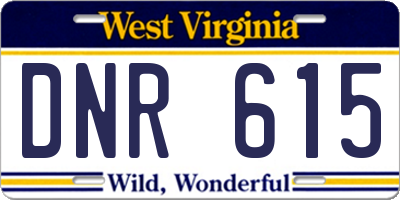 WV license plate DNR615