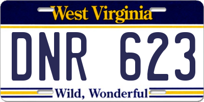 WV license plate DNR623