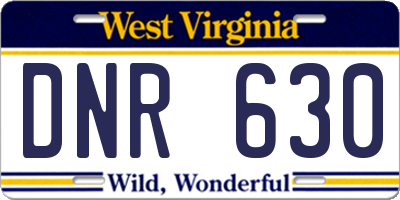 WV license plate DNR630