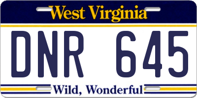 WV license plate DNR645