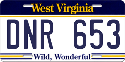 WV license plate DNR653