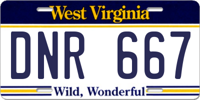 WV license plate DNR667