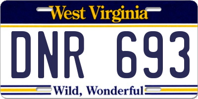 WV license plate DNR693