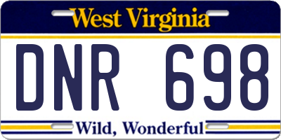 WV license plate DNR698