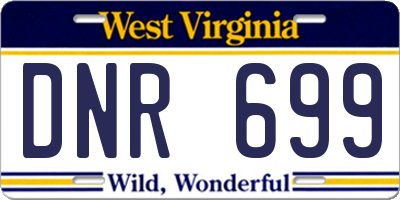 WV license plate DNR699