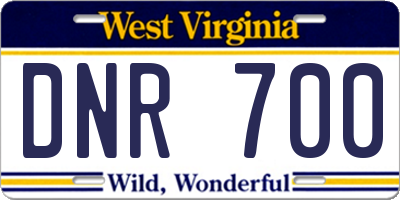 WV license plate DNR700