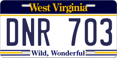 WV license plate DNR703