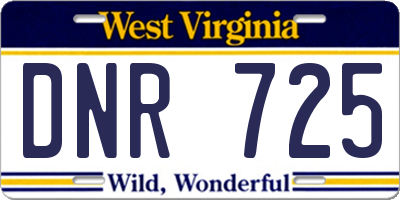 WV license plate DNR725