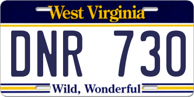 WV license plate DNR730