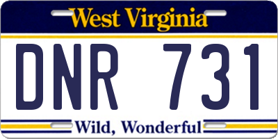 WV license plate DNR731