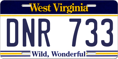 WV license plate DNR733