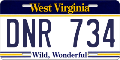 WV license plate DNR734