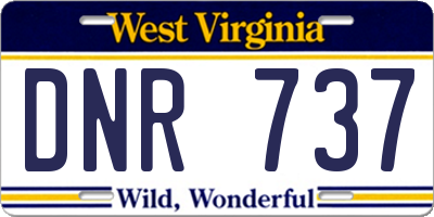 WV license plate DNR737