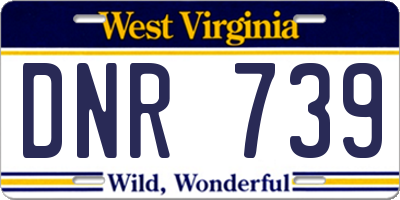 WV license plate DNR739