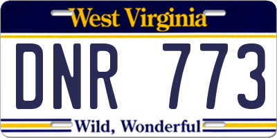 WV license plate DNR773
