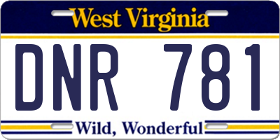WV license plate DNR781