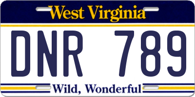 WV license plate DNR789