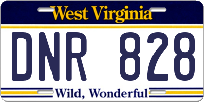 WV license plate DNR828