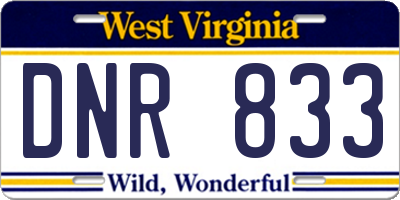 WV license plate DNR833