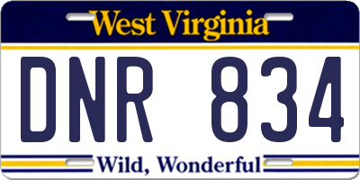 WV license plate DNR834