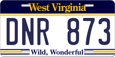 WV license plate DNR873
