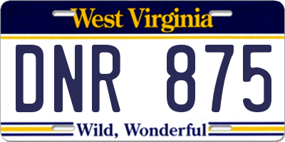 WV license plate DNR875