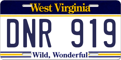 WV license plate DNR919