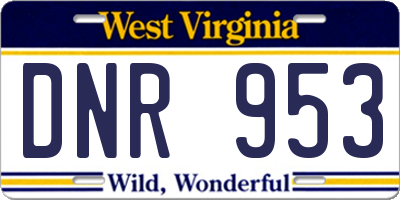 WV license plate DNR953