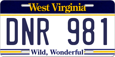 WV license plate DNR981