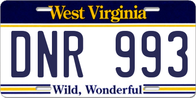 WV license plate DNR993