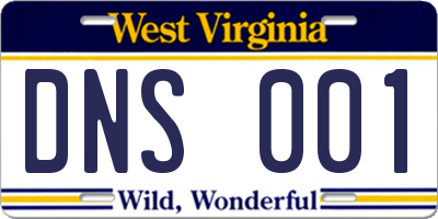 WV license plate DNS001