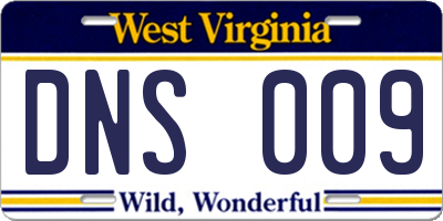 WV license plate DNS009
