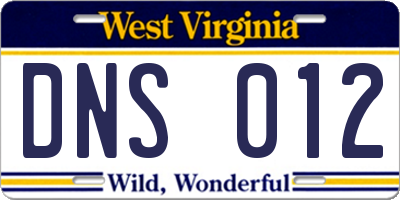 WV license plate DNS012