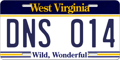 WV license plate DNS014