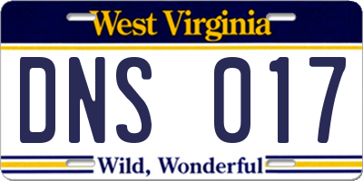 WV license plate DNS017