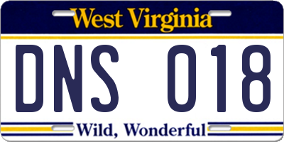WV license plate DNS018