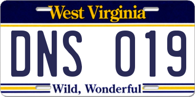 WV license plate DNS019