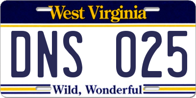 WV license plate DNS025