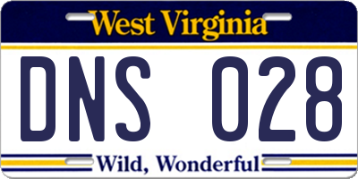 WV license plate DNS028