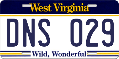 WV license plate DNS029