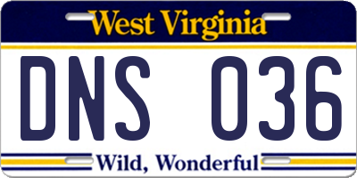 WV license plate DNS036