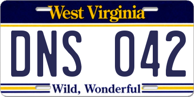 WV license plate DNS042
