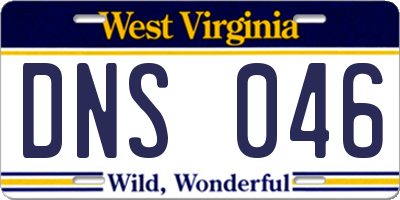 WV license plate DNS046