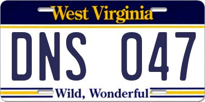 WV license plate DNS047