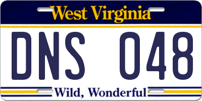WV license plate DNS048