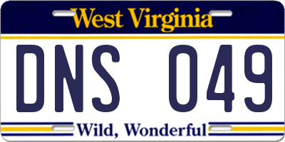 WV license plate DNS049