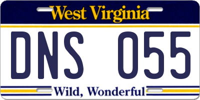 WV license plate DNS055