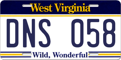 WV license plate DNS058