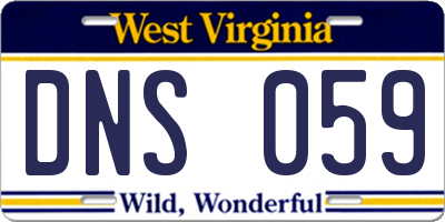 WV license plate DNS059
